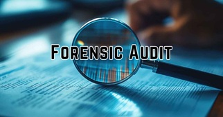 Audit Forensics