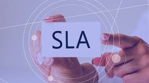 Priority SLA Support